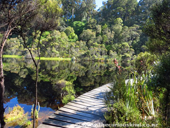 Lake Wilkie in The Catlins