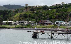 Waihau Bay